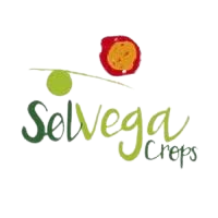 solvega_logo-removebg-preview